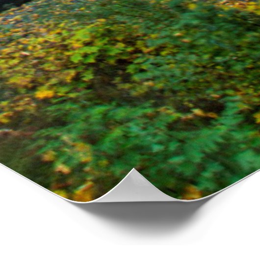 Poster Multnomah Falls (Coin)