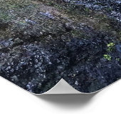 Poster Multnomah Falls (Coin)