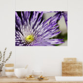 Poster Mum d'araignée pourpre (Cuisine)