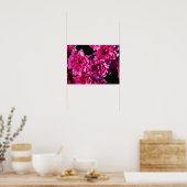 Poster Mums roses d'automne (Cuisine)