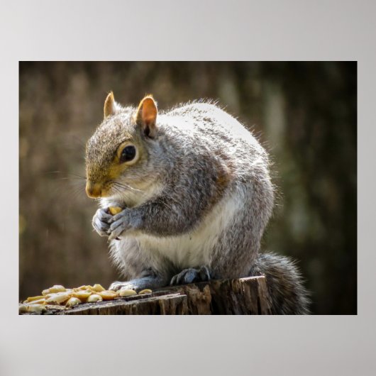 Poster Munchies (Devant)