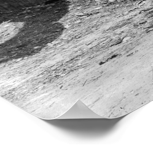 Poster Mune Shine Still : 1901 (Coin)