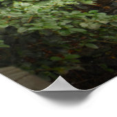 Poster Munson Grist Mill (Coin)