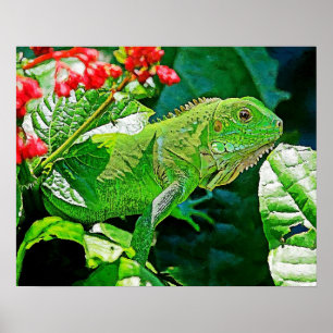 Poster Mur d'art Iguana pour la décoration.