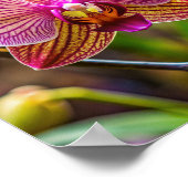 Poster Mur d'art orchidée (Coin)