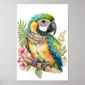 Poster Mur d'art tropical ornithologique macaw avec impri (Devant)
