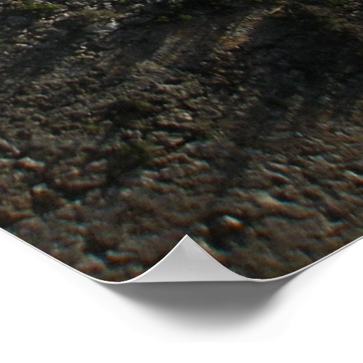 Poster Mur de forteresse (Coin)