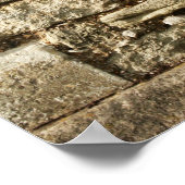 Poster Mur De Pierre. Avec un petit plante. (Coin)