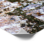Poster Mur de ruines mayas (Coin)