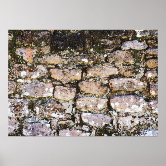 Poster Mur de ruines mayas (Devant)