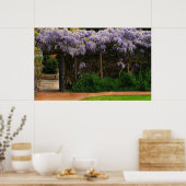 Poster Mur de Wisteria (Cuisine)