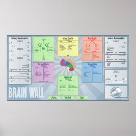Poster Mur du cerveau (Devant)