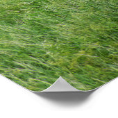 Poster Mur fortifié de Carcassonne (Coin)