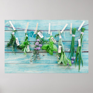 Poster Mur rustique vintage turquoise avec herbes