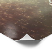 Poster mural (Coin)