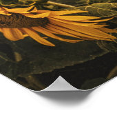 Poster mural 20x30 (Coin)