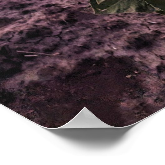 Poster mural 20x30 (Coin)