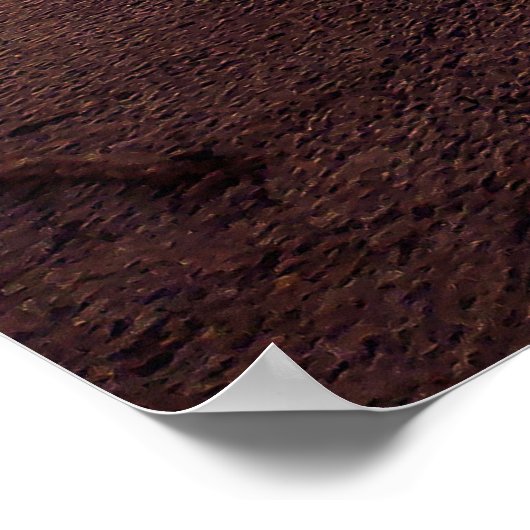 Poster mural 24x18 (Coin)