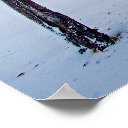 Poster mural 36x24 (Coin)