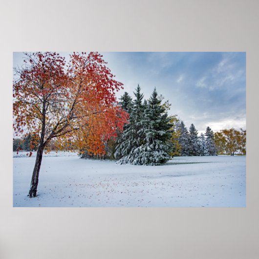 Poster mural 36x24 (Devant)