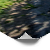 Poster mural 36x24 (Coin)