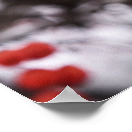 Poster mural 36x24 (Coin)