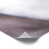 Poster mural 36x24 (Coin)