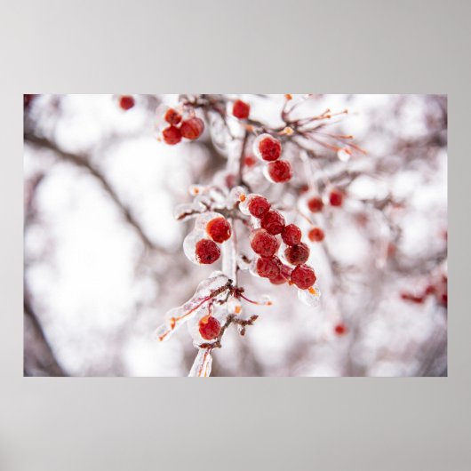 Poster mural 36x24 (Devant)