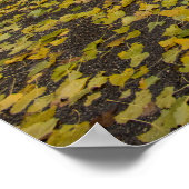 Poster mural 36x24 (Coin)