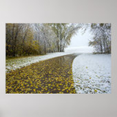 Poster mural 36x24 (Devant)