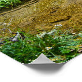 Poster mural 36x24 (Coin)