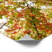 Poster mural 36x24 (Coin)