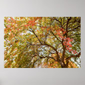 Poster mural 36x24 (Devant)