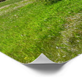 Poster mural 36x24 (Coin)