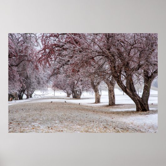 Poster mural 36x24 (Devant)
