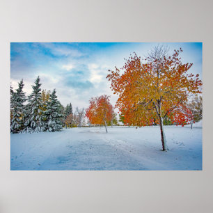 Poster mural 36x24