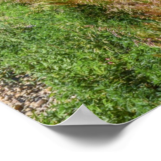 Poster mural 36x24 (Coin)