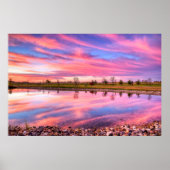 Poster mural 36x24 (Devant)