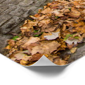 Poster mural 36x24 (Coin)