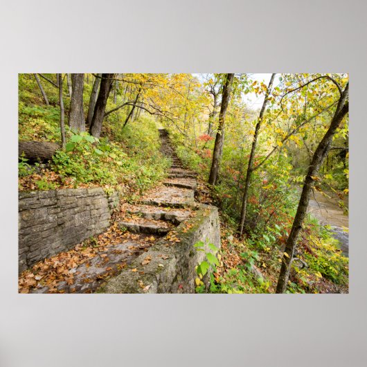 Poster mural 36x24 (Devant)