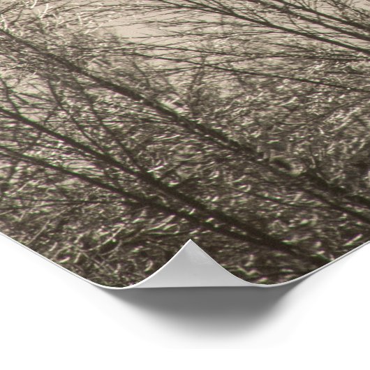 Poster mural 36x24 (Coin)