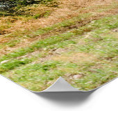 Poster mural 36x24 (Coin)