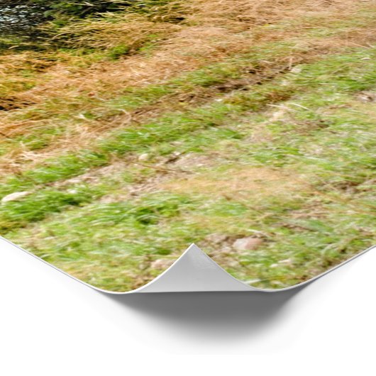 Poster mural 36x24 (Coin)