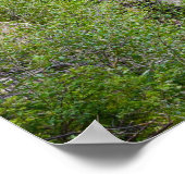 Poster mural 36x24 (Coin)