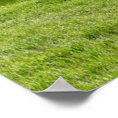 Poster mural 36x24 (Coin)