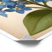 Poster mural Belle Poster de fleurs Forget-Me-Not (Coin)