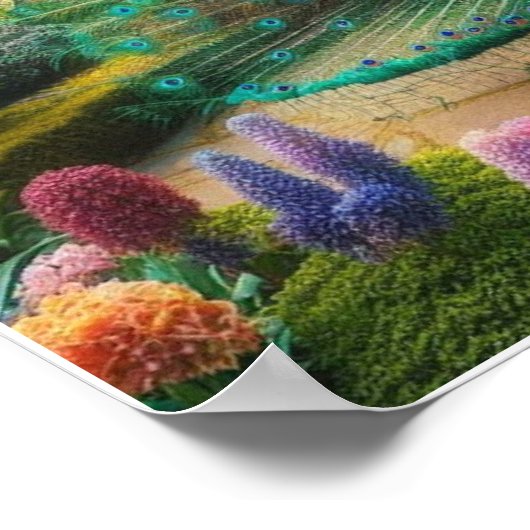 Poster mural Peacock sur mesure (Coin)