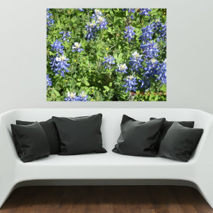 Poster mural vibrant Texas Bluebonnet