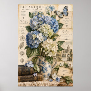 Poster Murale botanique papillon Hydrangea bleue vintage