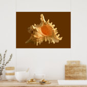 Poster Murex Ramous (Cuisine)